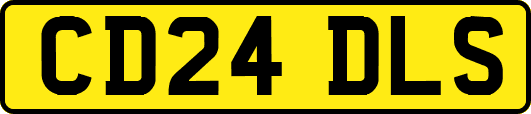 CD24DLS