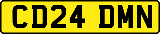 CD24DMN