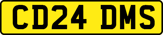 CD24DMS