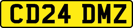 CD24DMZ