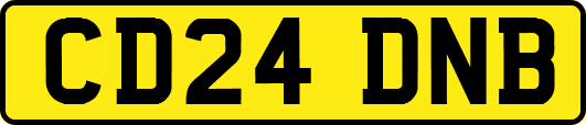 CD24DNB