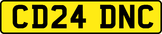 CD24DNC