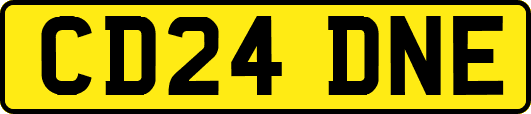 CD24DNE