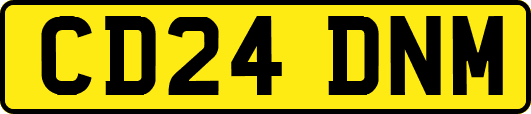 CD24DNM