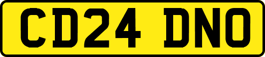 CD24DNO