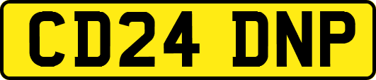 CD24DNP