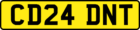CD24DNT