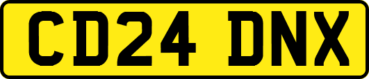 CD24DNX