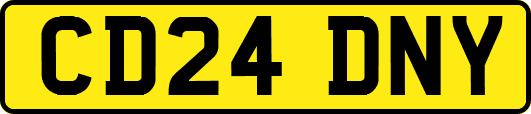 CD24DNY