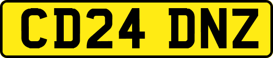 CD24DNZ