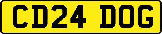 CD24DOG