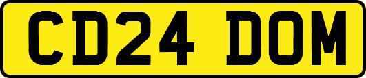 CD24DOM