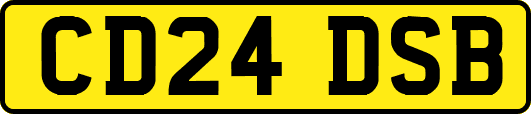 CD24DSB