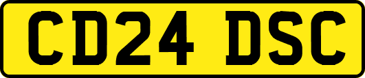 CD24DSC