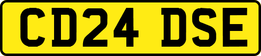 CD24DSE