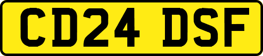 CD24DSF