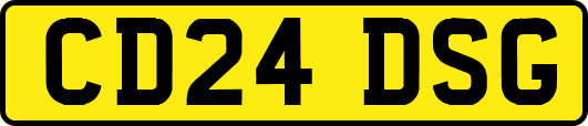 CD24DSG