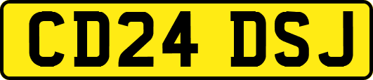CD24DSJ