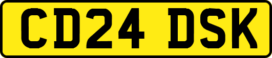 CD24DSK
