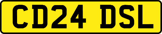 CD24DSL