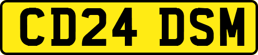 CD24DSM
