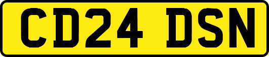 CD24DSN