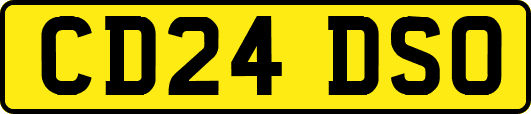 CD24DSO