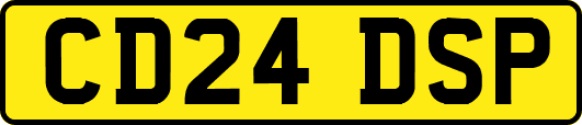 CD24DSP