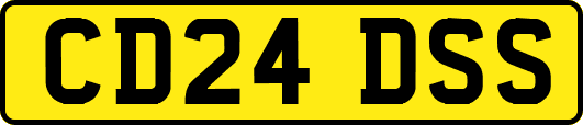 CD24DSS