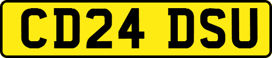 CD24DSU