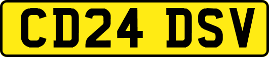 CD24DSV
