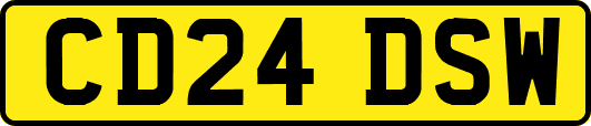 CD24DSW