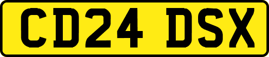 CD24DSX