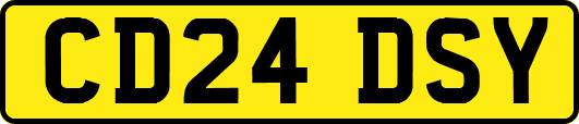 CD24DSY