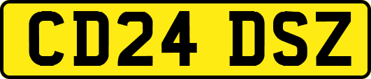 CD24DSZ