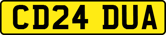 CD24DUA