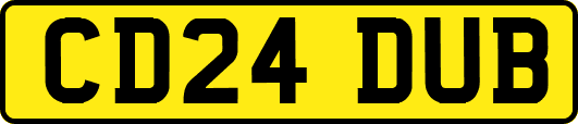 CD24DUB