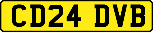 CD24DVB