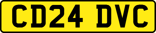 CD24DVC