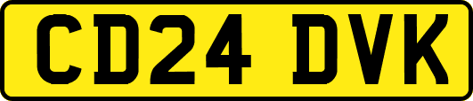 CD24DVK