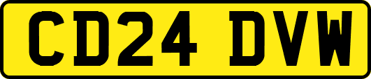 CD24DVW