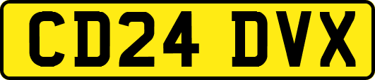 CD24DVX