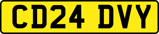CD24DVY