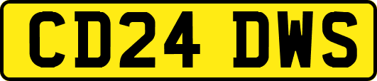 CD24DWS