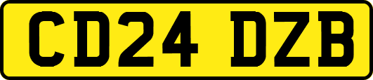 CD24DZB