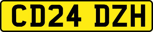 CD24DZH