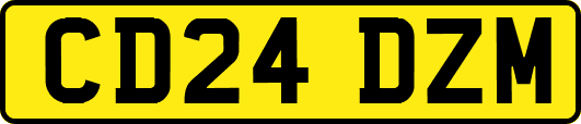 CD24DZM