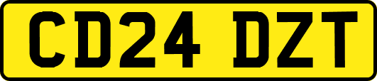 CD24DZT