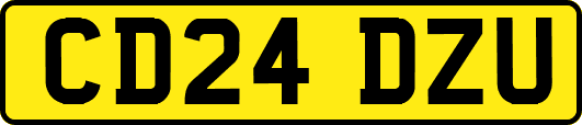 CD24DZU