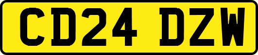 CD24DZW